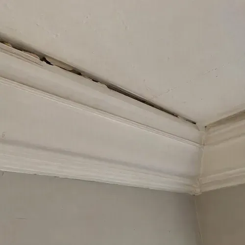 Gap between crown moulding and ceiling during plaster crown moulding repair in Kingston, ON